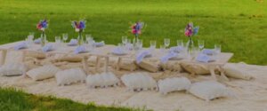 Pretty Picnics