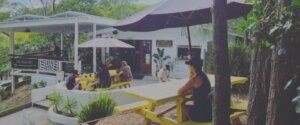 The Pass Cafe