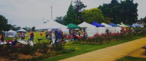 Hunter Arts & Network Art Bazaar
