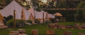 The Woods Farm